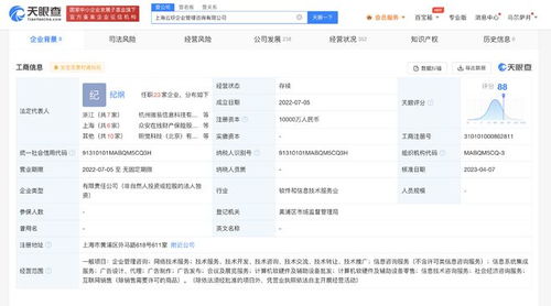 螞蟻集團子公司資本激增9900%，加速布局信息系統集成服務